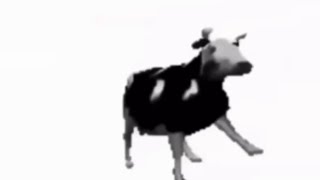 лютые коровы
