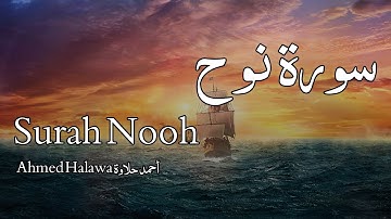 Surah Nooh سورة نوح - Ahmed Halawa أحمد حلاوة - Quran Voice