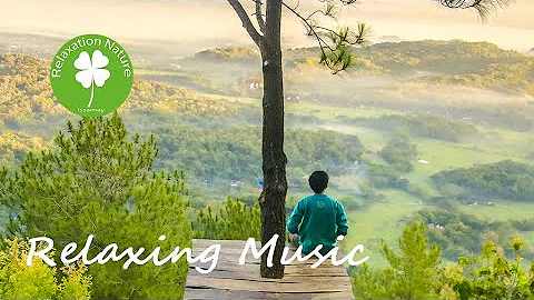 Nature relaxation video.Drone Film.Relaxing music, wonderful landscape Paysage magnifique deep sleep