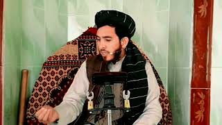 کمک وهمکاری بابرادرمسلمان، استادمحمدالله عمار