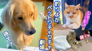 【釣りよかペットワチャワチャ劇場】自由なまりもさん&まるくんみーちゃん傑作選Part.1