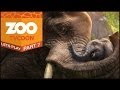 Zoo Tycoon (Xbox One) | Let's Play #7 | We've Got A Dragon! (Kinda)