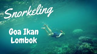 [Honeymoon Tour 2016] Snorkeling Goa Ikan Lombok Indonesia, Pink Beach Snorkeling Spot by DAikazoCoon 926 views 7 years ago 31 minutes