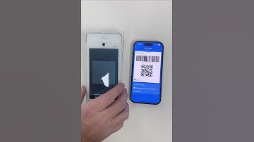 AlphaPay on Moneris Go/ PAX A920 Terminal