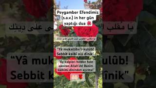 Peygamber Efendimizin Her Gün Yaptığı Dua