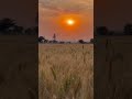 /💖 . . . . . . . #nature #naturelovers #trendingreels #followme