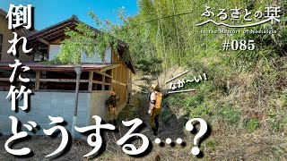 картинка: Бамбук, упавший из-за снега, прямо попал в наш дом...!｜Сельская Япония 085