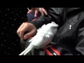 手乗りの鳥／足立区生物園／2011年12月3日 の動画、YouTube動画。
