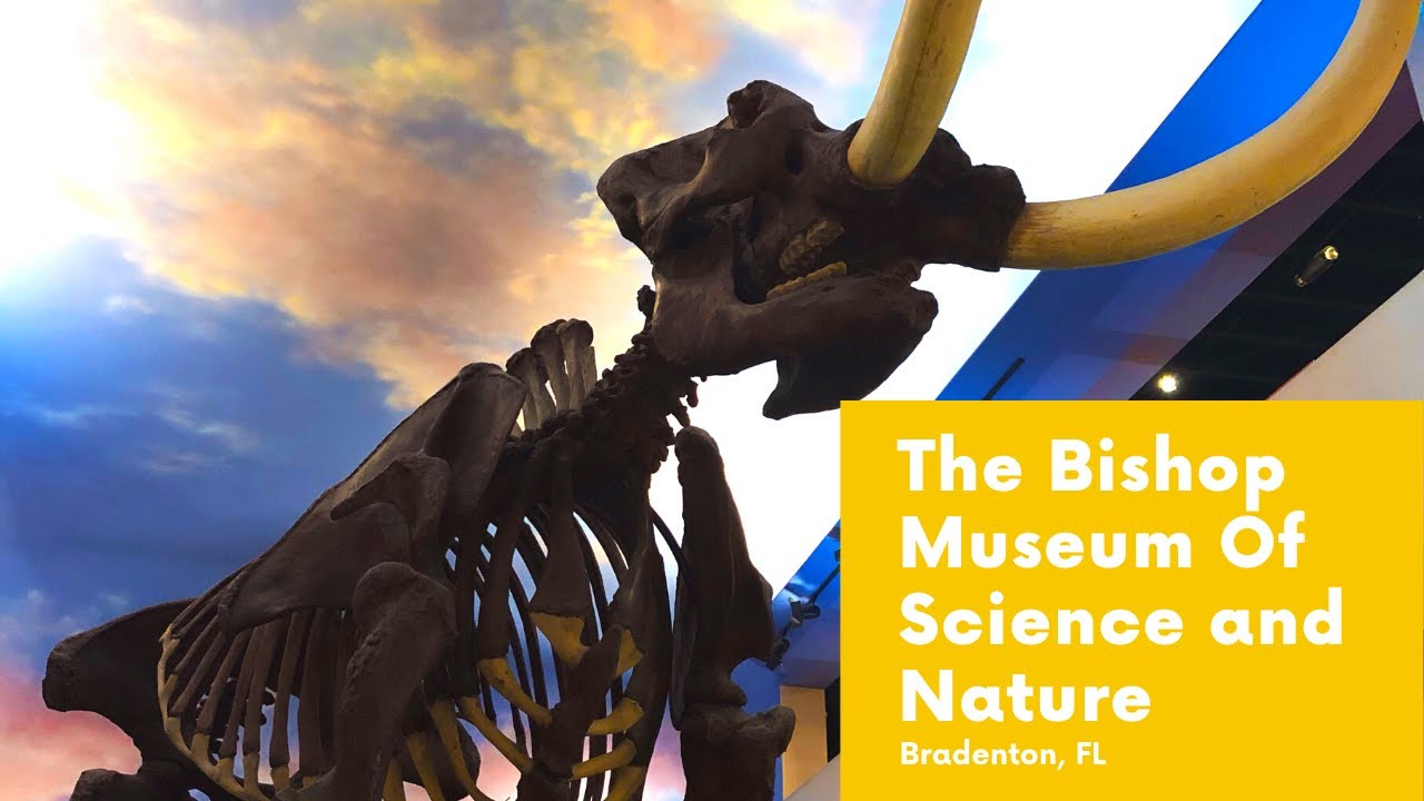 Florida Travel THE MUSEUM OF SCIENCE AND NATURE TOUR [South