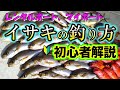 レンタルボート、マイボートでのイサキの釣り方を解説します【天秤フカセ釣り】