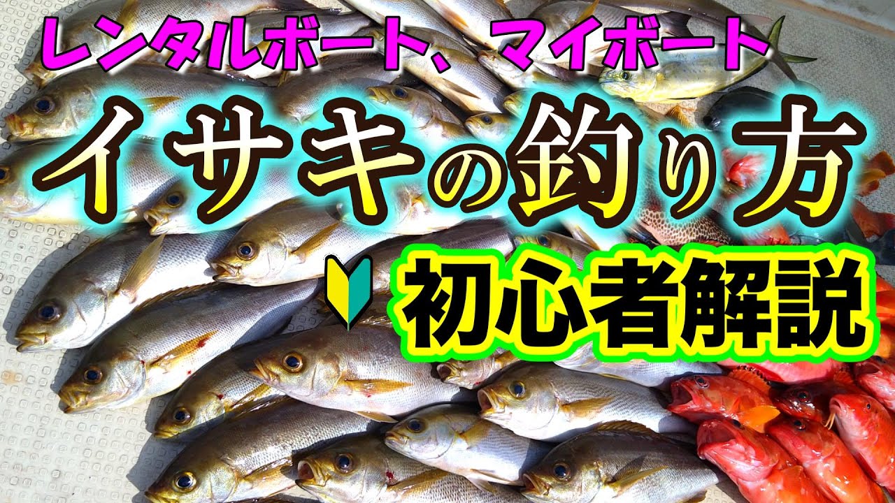 レンタルボート、マイボートでのイサキの釣り方を解説します【天秤フカセ釣り】