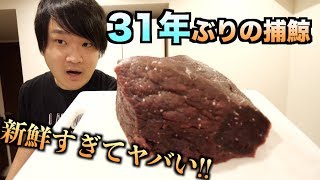 31年ぶりの捕鯨で捕まえたクジラ肉が新鮮すぎてヤバイ！！！