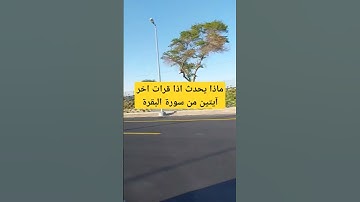 ماذا يحدث اذا قرأت اخر آيتين من سورة البقرة #بدر_المشاري #محبي_صبرا #للبثシ #foryou #اكسبلور_explore