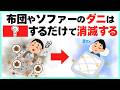 【ズボラが正解!?】ダニ対策は"頑張る人"ほど失敗する