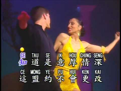 【鑽石舞曲精選】雪山盟 (高清LD版)