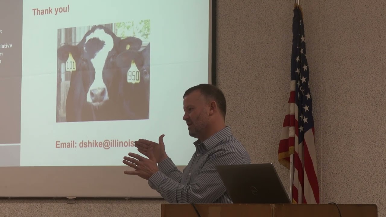 Got cover crops? Got cattle? You have it made!