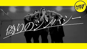 Download Mondo Grosso False Sympathy Mp4 Mp3 Download Mondo Grosso False Sympathy Mp4 Mp3