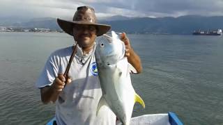 The new year catch (2017) Jacks and Kingfish..