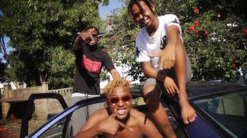PalmTree Paradise Tropical Reign Promo Video