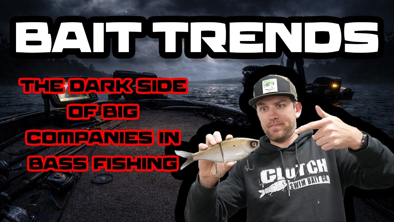 HOW BIG COMPANIES DESIGN BAITS