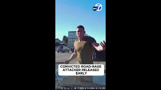 Tesla driver sentenced in SoCal road-rage attacks released early from prison