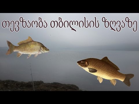 თევზაობა თბილისის ზღვაზე