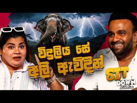 විදුලිය සේ අලි ඇවිදින් 🤣😂 | Sit Down With Bino @SankaDinethOfficial