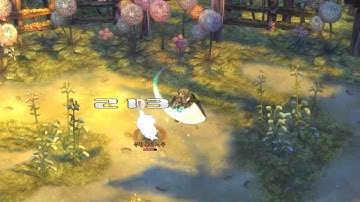 Tree of Savior (KR) - Closed Beta 2 preview trailer