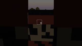 Super mario bros 3-small mario in minecraft screenshot 5