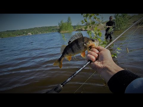 Окунь на "Серебряный Ручей"
