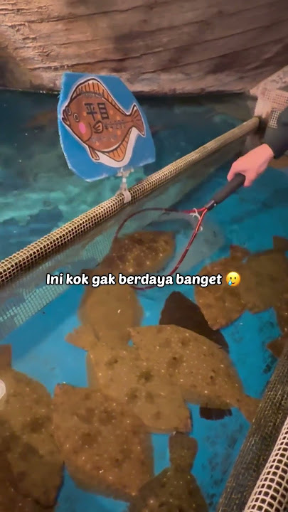 Aneh banget..