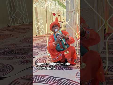 Haryana sapera music #video #youtubeshorts #tarndeng #shortsfeed #shorts #yaralshorts
