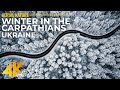 Snowy Winter in the Carpathian Mountains, Ukraine - 4K UHD Drone Footage + Calming Music