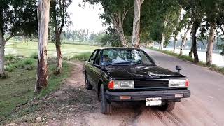 Datsun Bluebird 910, 1983.