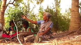 Download Lagu Sarayam MP3 Sarayam