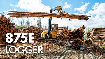 Tigercat 875E Logger in British Columbia