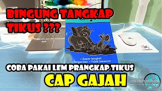 Lem tikus ampuh.. tikus lengket gak berkutik