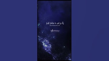 surah Ali 'Imran [3:19] سورة آل عمران #quran #القران #سورة