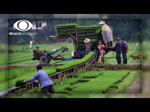 Vídeo: Quando a agricultura começou na China?