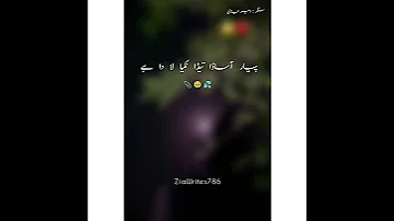 Ameer Niazi Status Status Love Popular Saraiki Punjabi Saraikisong Ameerniazi 