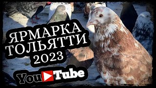 Ярмарка голубей в Тольятти. Апрель 2023 г.