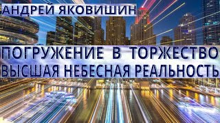 Андрей Яковишин. Погружение в торжество. Высшая духовная реальность.