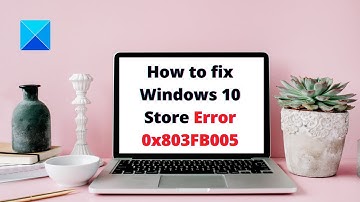 Fix Microsoft Store Error 0x803FB005 in Windows 11