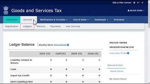 How to View Balance in Cash Ledger
