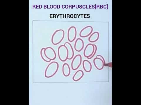 वीडियो: लाल रक्त कोशिकाओं की संख्या कैसे प्राप्त करें: 9 कदम (चित्रों के साथ)