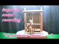 Westminster-chime:Tubular-bells-Play -3:Wood Carved Doll:Automaton:Ornament:アコちゃんのチャイム-3