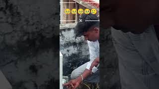 har gye ho koi bhi support nhi kar reha hai 🥲🥹🥹🥹 #shortvideo #viral #trending