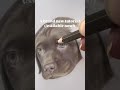 Beginner-Friendly Lab Pup Pet Portrait Tutorial