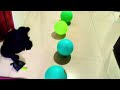 Let's 🏁🔥play the colorful balloon popping⚡challenge!!! #challenge #balloon #comedy #poppballons 