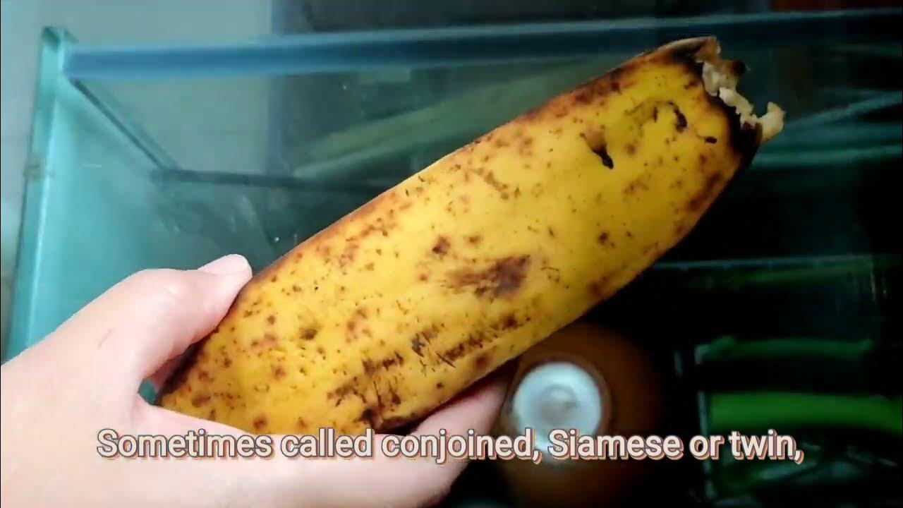 Twin Bananas Scientific Explanation YouTube